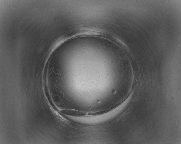 X0000054421471200507291236