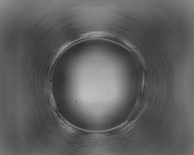 X0000054421473200507291236