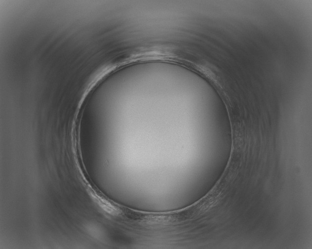 X0000054421474200507291236