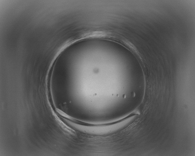 X0000054421475200507291236