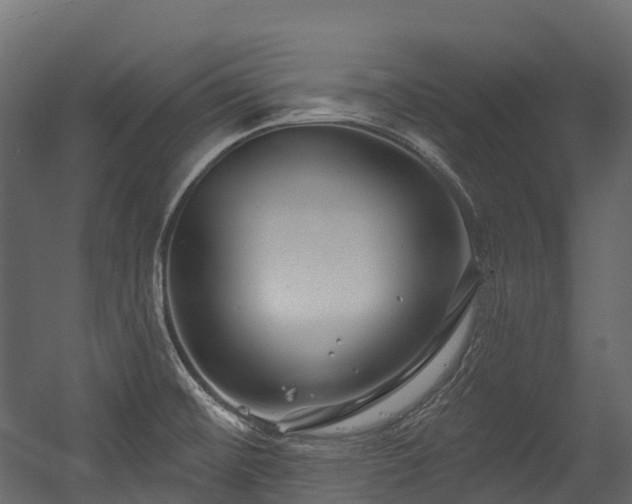 X0000054421476200507291236