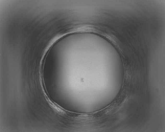 X0000054421478200507291236