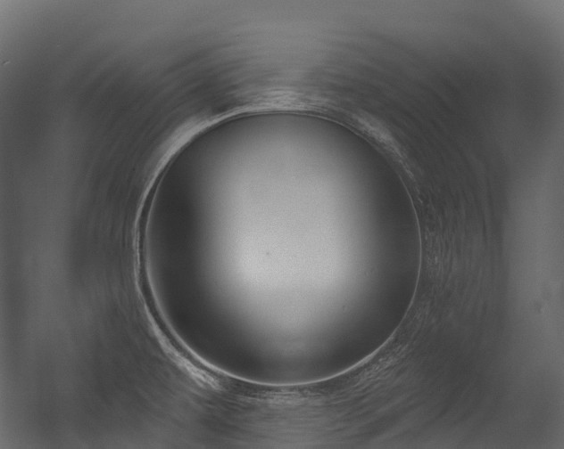 X0000054421479200507291236