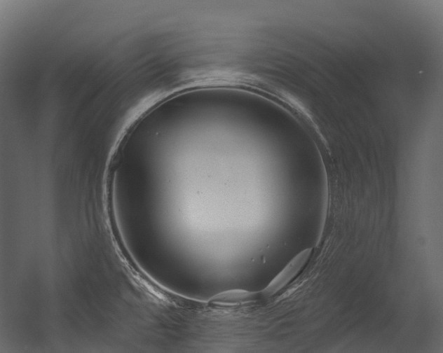 X0000054421480200507291236