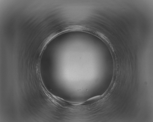 X0000054421481200507291236