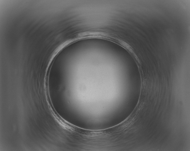 X0000054421482200507291236