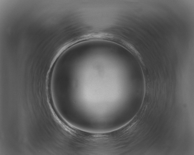 X0000054421483200507291236