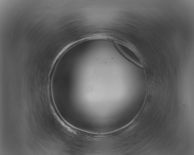 X0000054421484200507291236