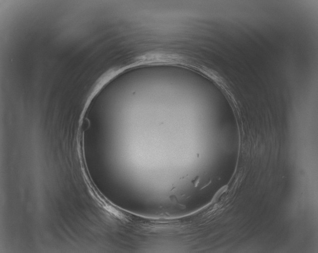 X0000054421486200507291236