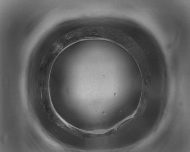 X0000054421487200507291236