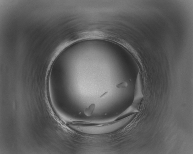 X0000054421488200507291236