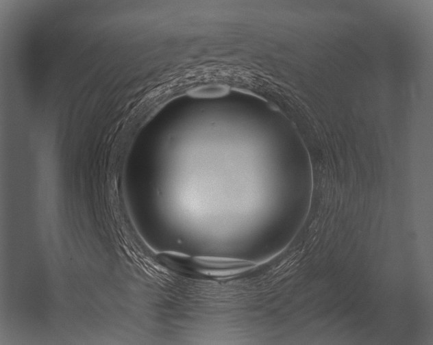 X0000054421489200507291235