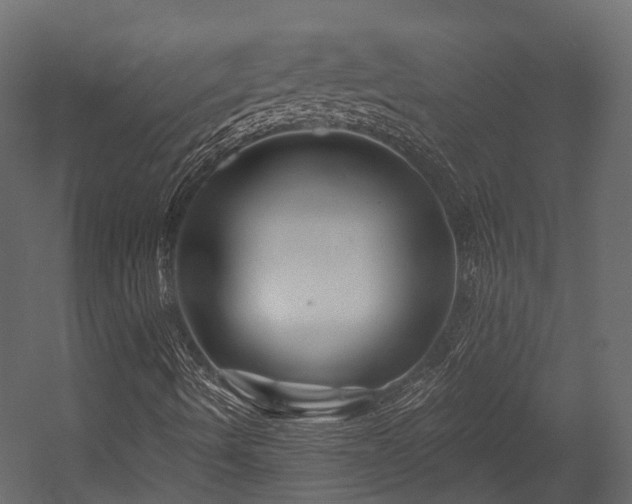 X0000054421490200507291235