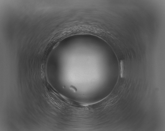 X0000054421491200507291235