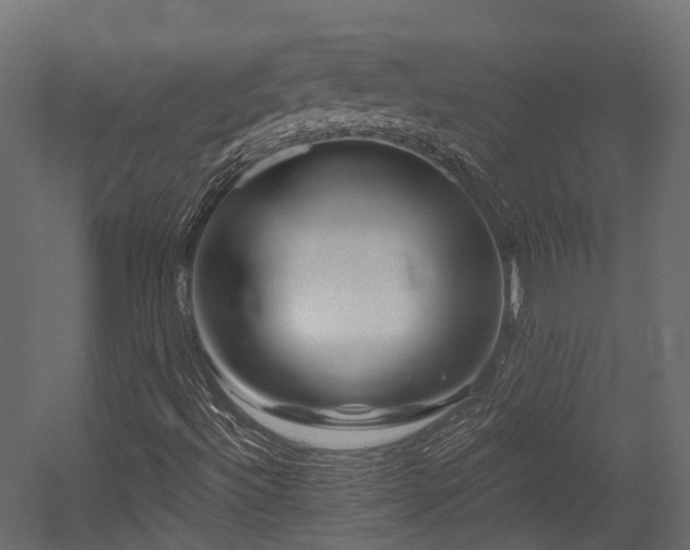 X0000054421492200507291235