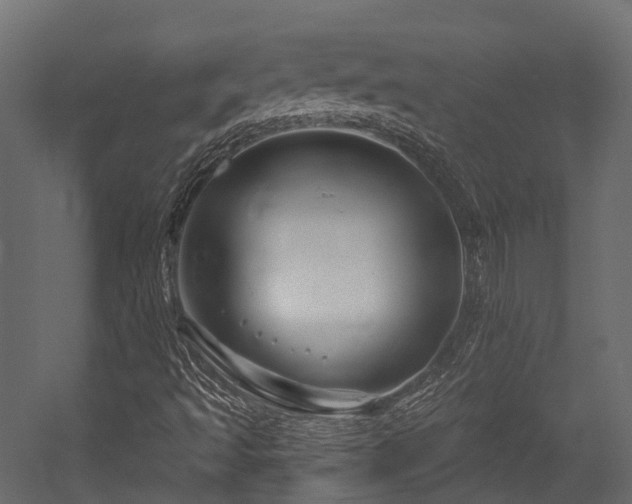 X0000054421493200507291235