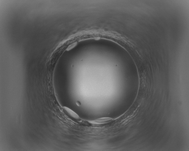 X0000054421494200507291235