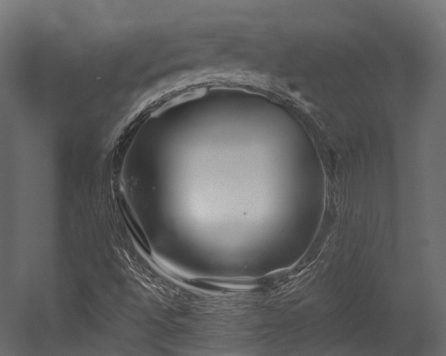 X0000054421496200507291235