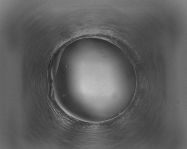 X0000054421497200507291235