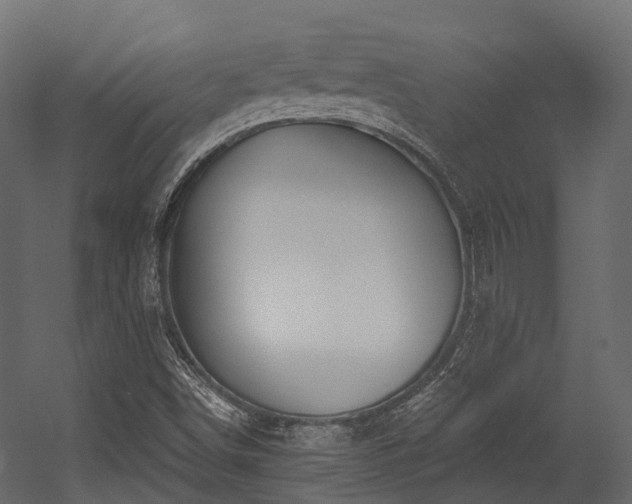 X0000054421498200507291235