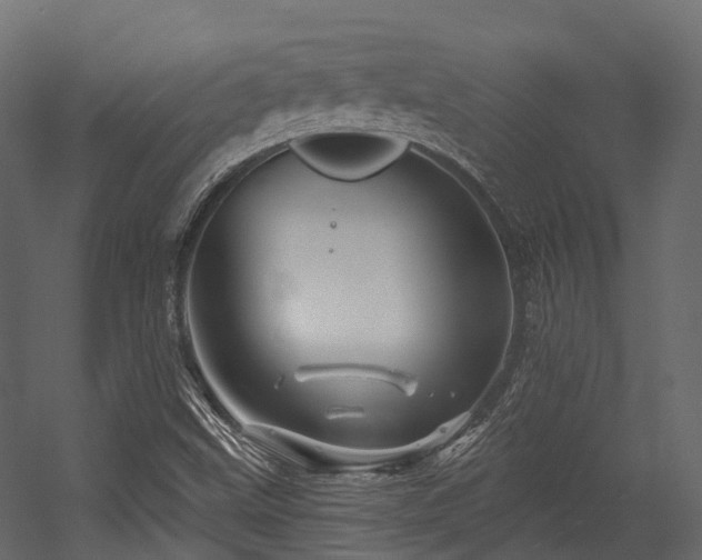 X0000054421499200507291235