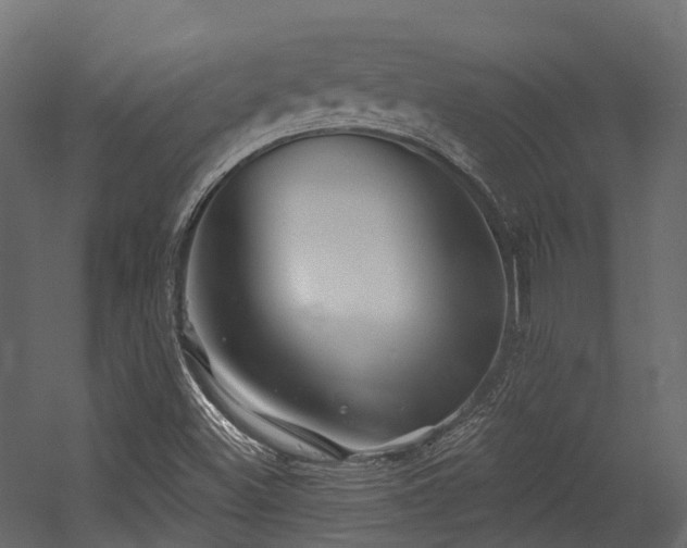 X0000054421500200507291235