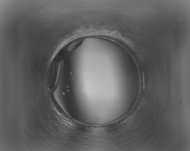 X0000054421501200507291235