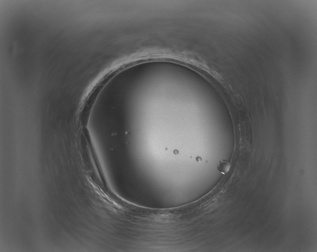 X0000054421502200507291235