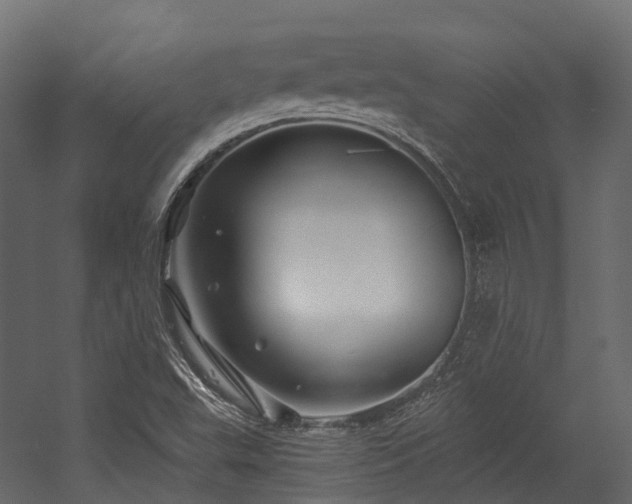 X0000054421503200507291235