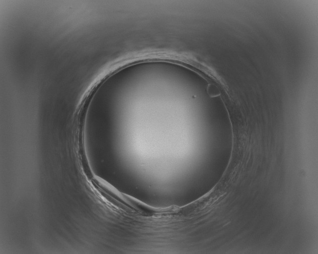 X0000054421504200507291235