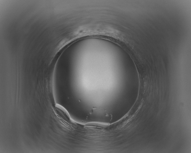 X0000054421505200507291235