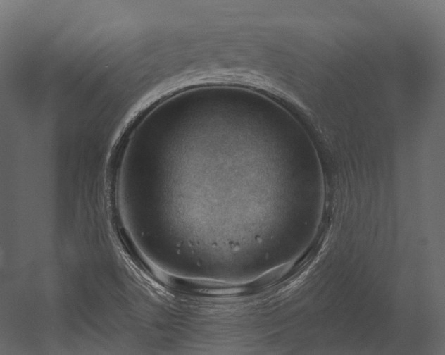 X0000054421506200507291235