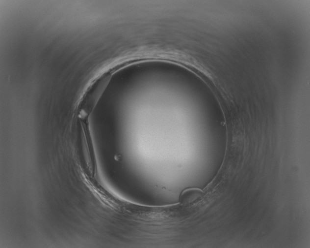 X0000054421507200507291235