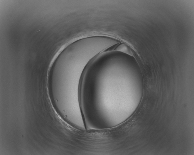 X0000054421508200507291235