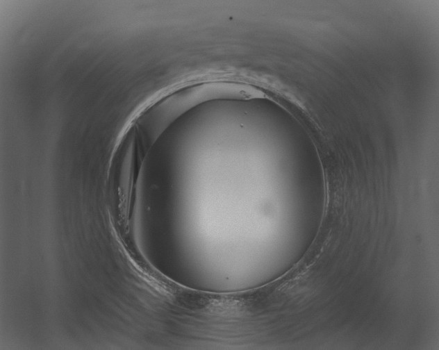 X0000054421509200507291235