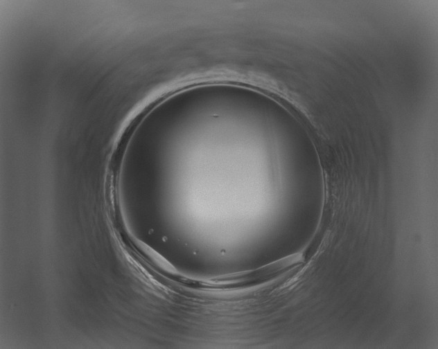 X0000054421510200507291235