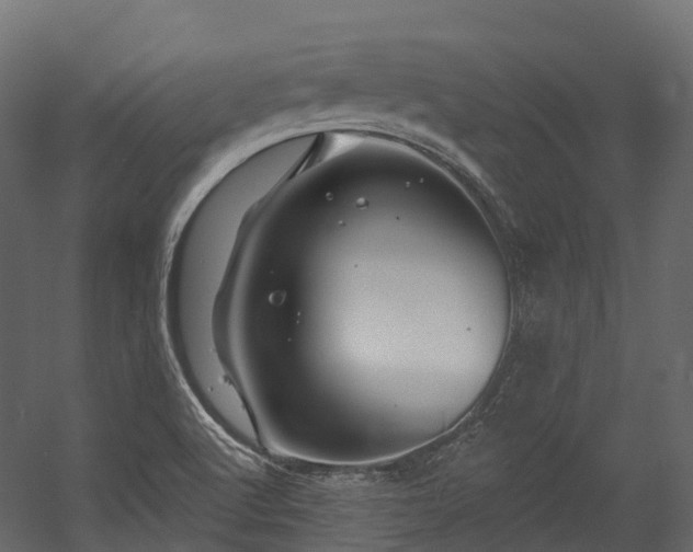 X0000054421512200507291235