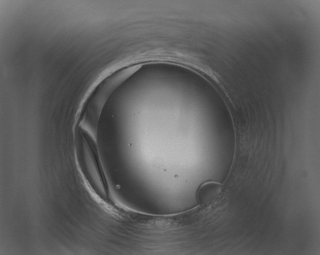 X0000054421515200507291235