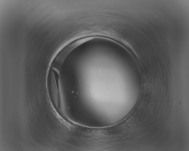 X0000054421516200507291235