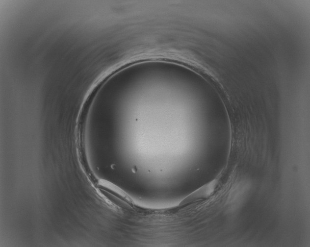 X0000054421517200507291235