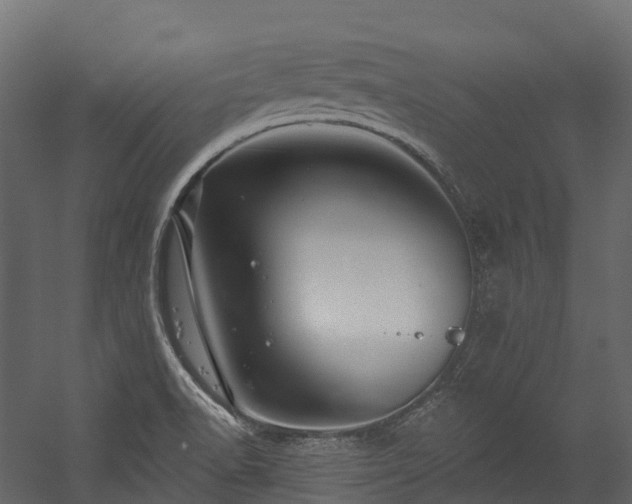 X0000054421518200507291236