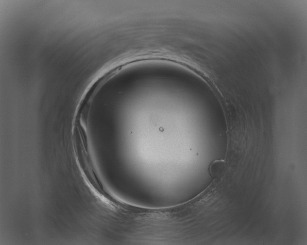 X0000054421519200507291236