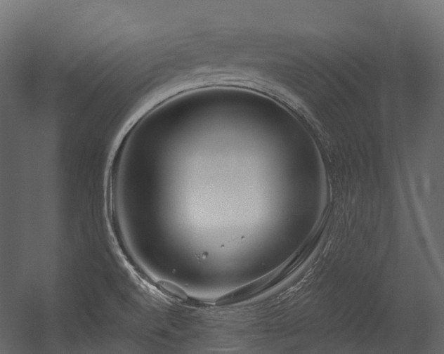 X0000054421520200507291236