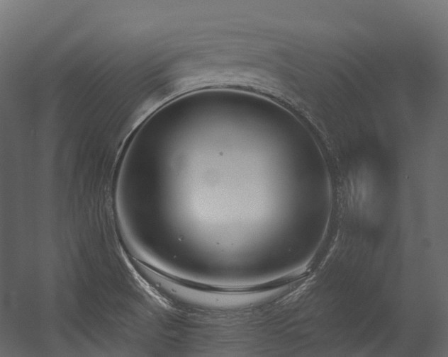 X0000054421521200507291236