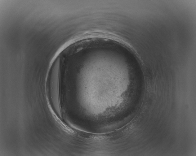 X0000054421522200507291236