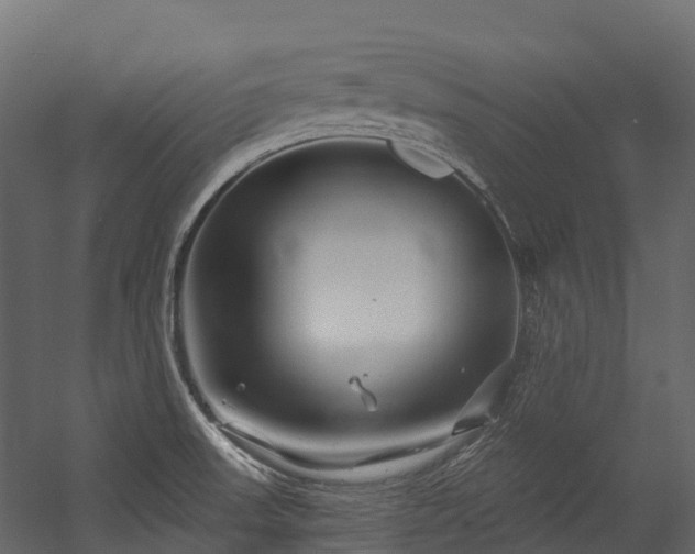 X0000054421523200507291236