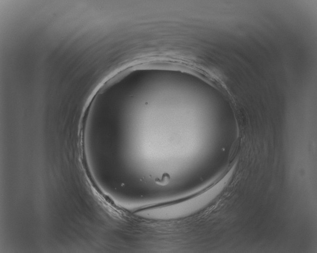 X0000054421524200507291236