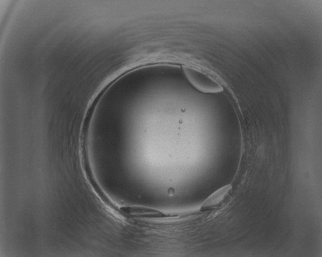 X0000054421525200507291236