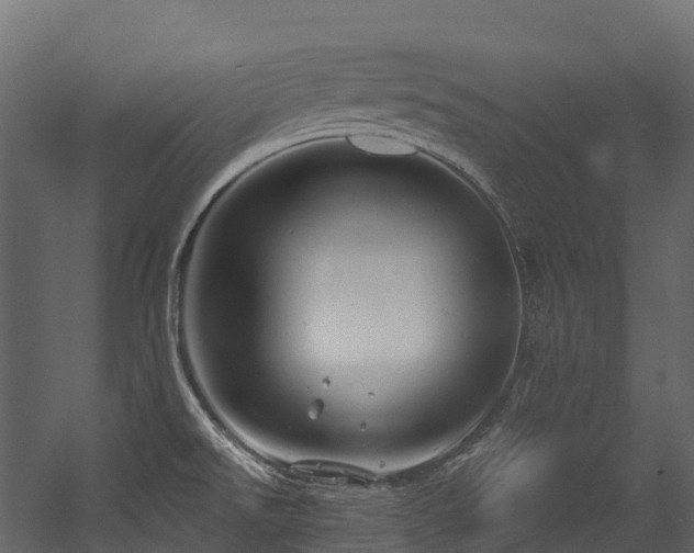 X0000054421526200507291236