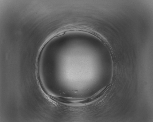 X0000054421528200507291236